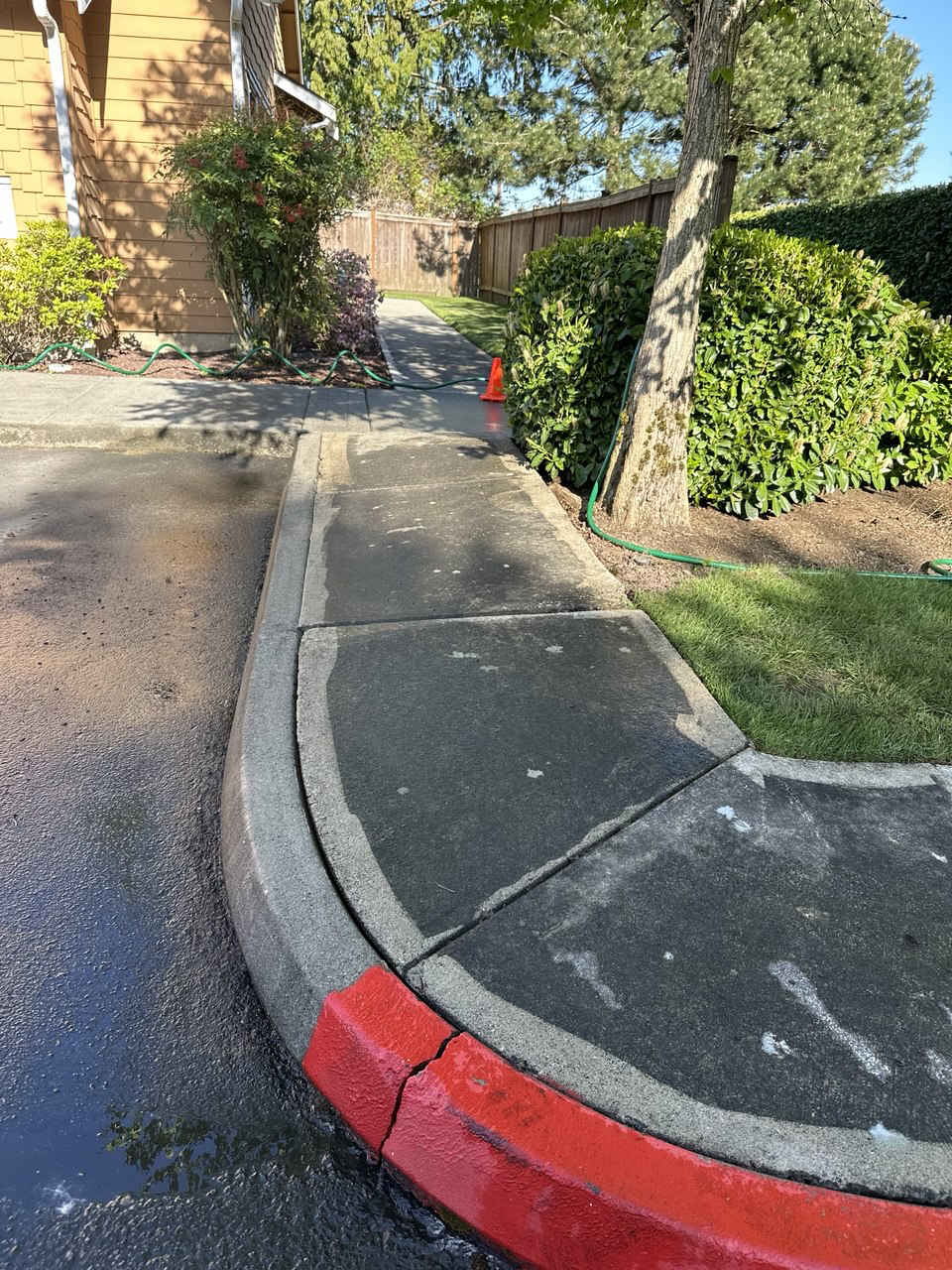 Before Image