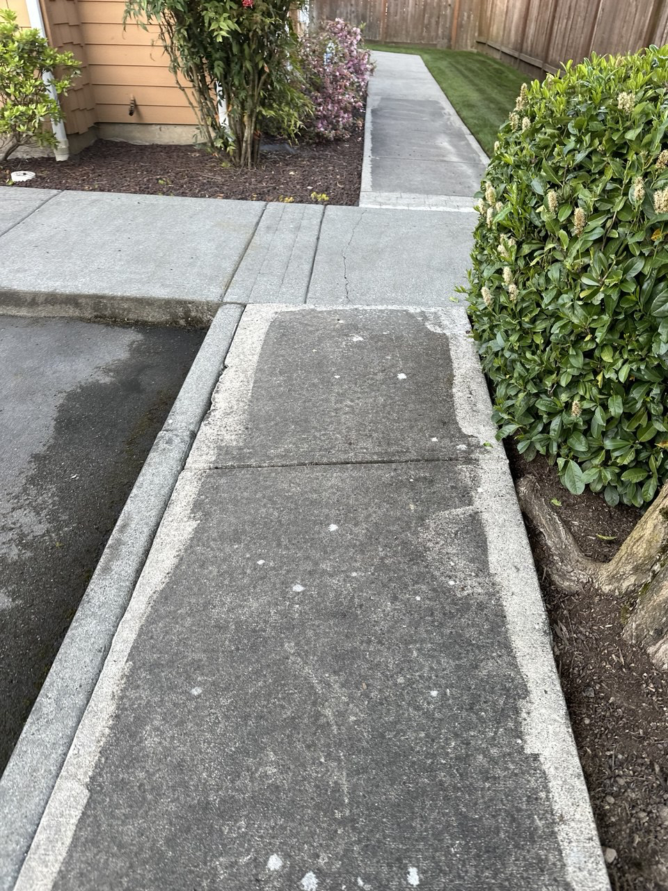 Before Image