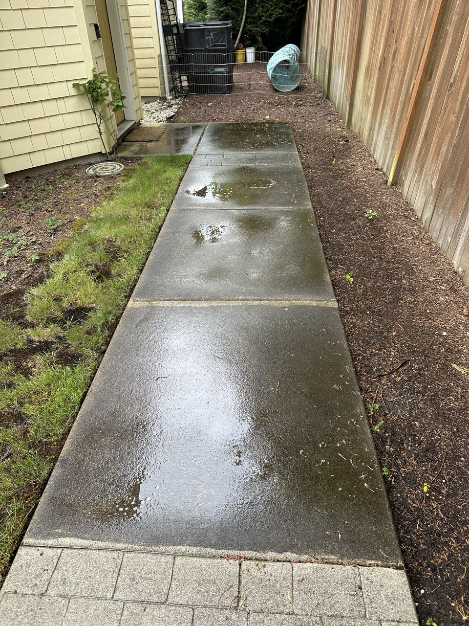 Before Image
